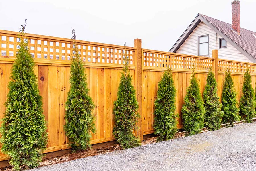 custom wooden fence with small pines aside pagosa springs co